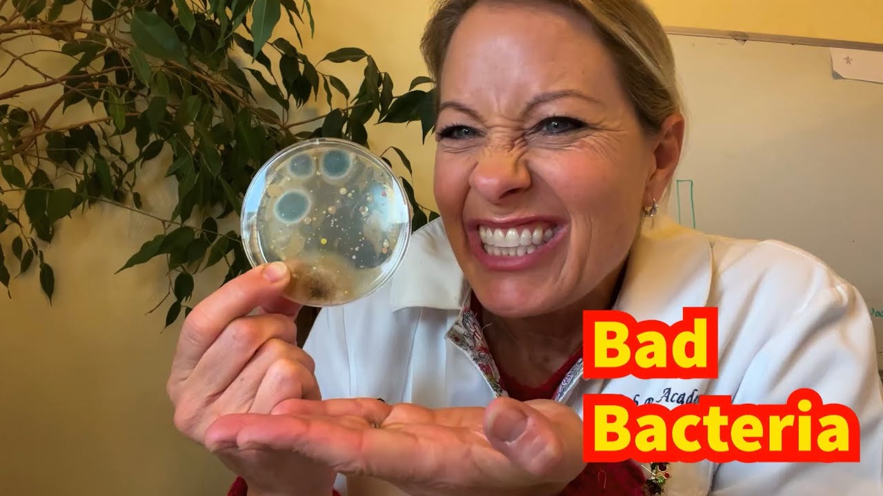 320 - Where can we find bacteria?