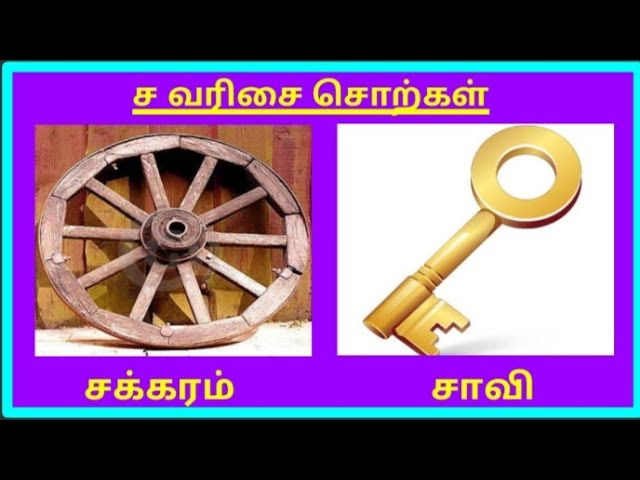 ச வரிசை சொற்கள் / sa varisai sorkal in tamil / basic tamil class=