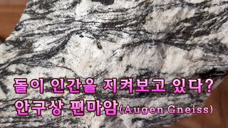안구상 편마암(Augen Gneiss) 표본 천연원석 관찰 탐구 (2). 암석 보석 탐사, 지구과학, 환경과학