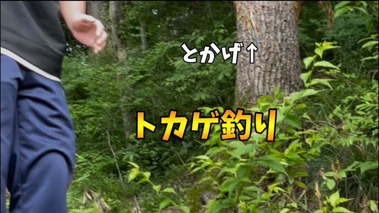 初めてのトカゲ釣りをやってみたら簡単で楽しすぎた