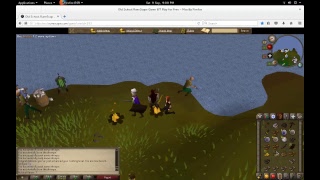 Runescape  (Lets wander aimlessly for an hour)