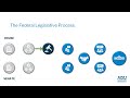Navigating the U.S. Federal Legislative Process and Key Actors