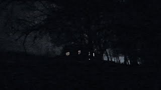 BONES - CADAVER