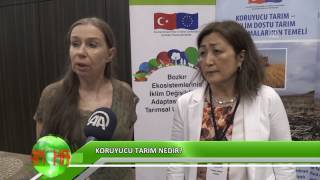 Koruyucu tarım nedir?