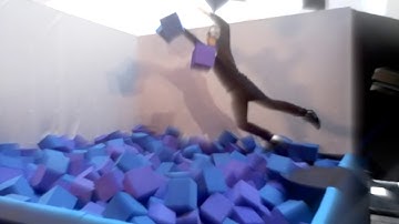 Bullet Time Slow Motion - The Matrix Slo Mo Effect - Slow Motion