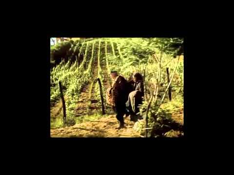 მეორე მსოფლიო ომის ვეტერანების საღამო  (ნაწილი 1)