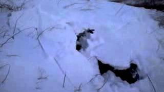 polaris indy 440 stuck