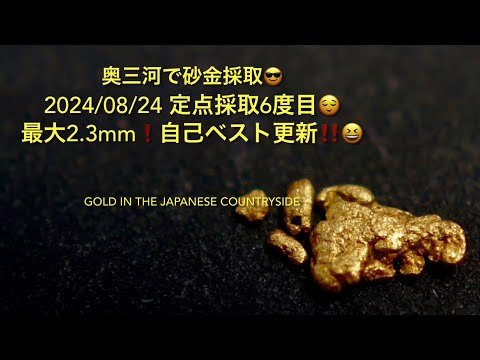 2024/08/24 奥三河で砂金採取😎定点採取6度目😌最大2.3mm❗️自己