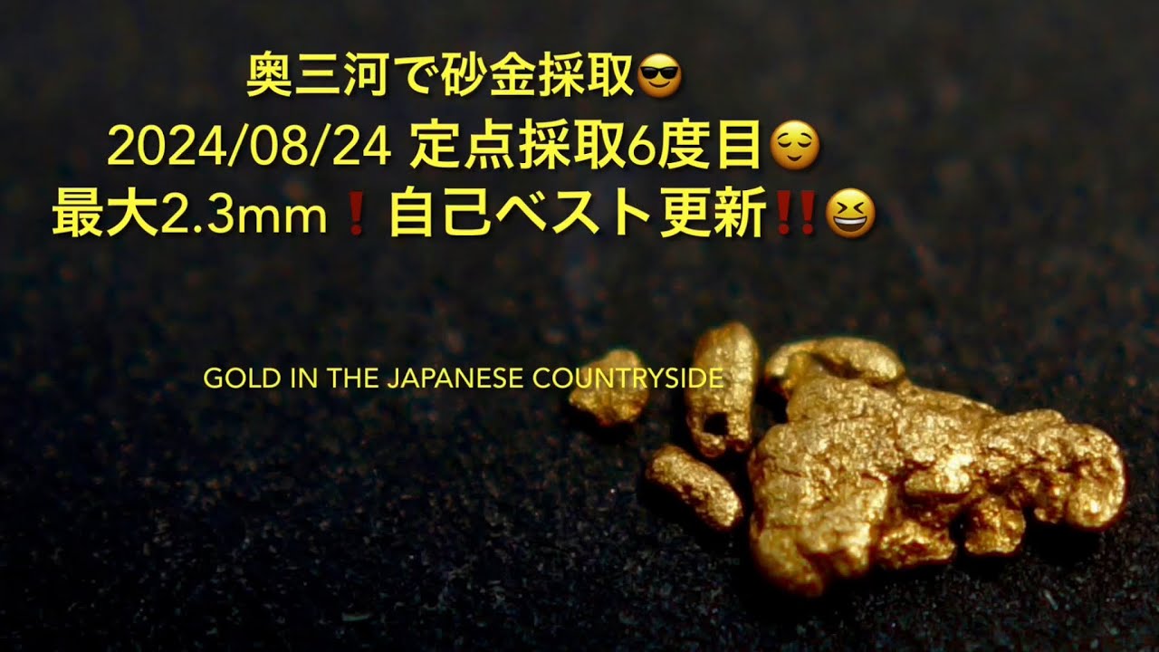 2024/08/24 奥三河で砂金採取😎定点採取6度目😌最大2.3mm❗️自己