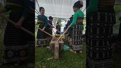 Khua luống là một nét văn hóa đặc trưng của dân tộc Thái 