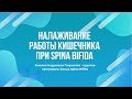 Налаживание работы кишечника при Spina bifida