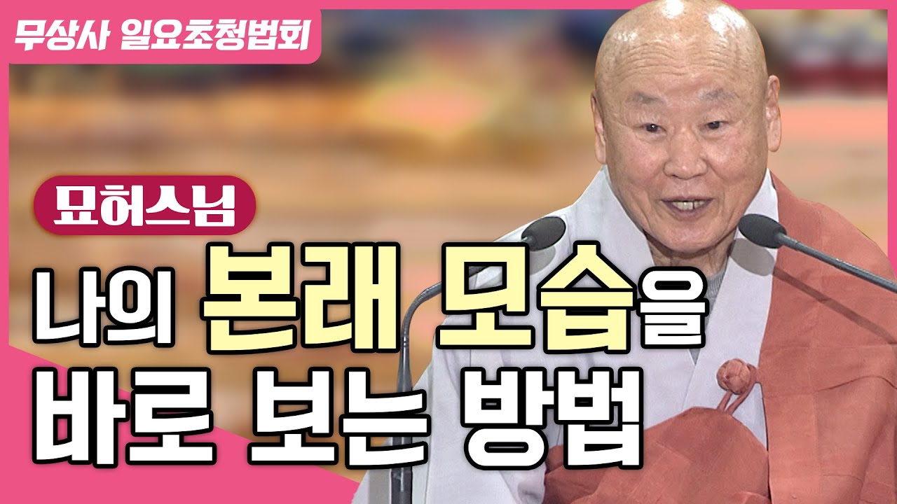 시주 은혜를 갚지 않으면 벌어지는 무서운 일 #묘허스님 #무상사일요초청법회 899회 풀버전