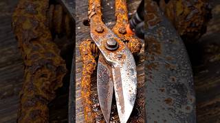 Rusty Metal Shears Transformation: Pure ASMR! ✂️✨#shorts  #viral #satisfying