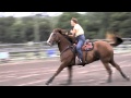 Vicki  wrangler   open   nbha fl09   king palm ranch   07 june 2014