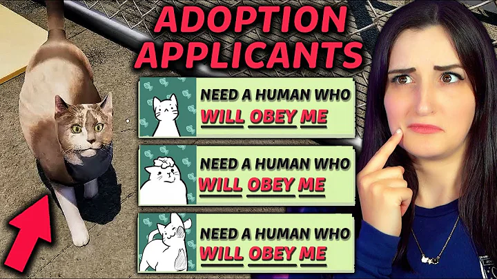 I Tried Working At A Cat Shelter …but The Cats Were Creepy