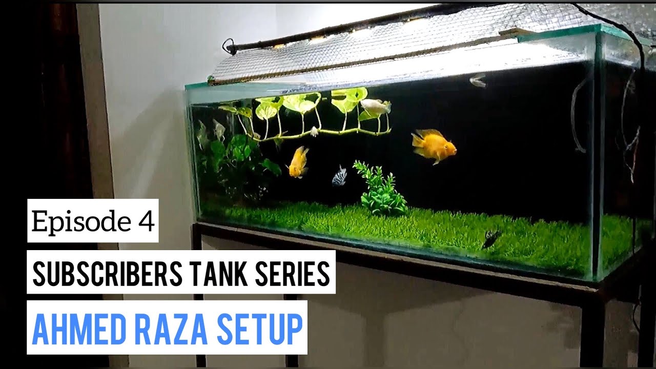 Aquarium Setup Series in Urdu/Hindi Ep 4 Ahmed Raza Aquarium Setup Betta Fish Setup AB
