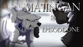 Ma'iingan Episode 1 {13+} | Wolf Animated Series | Unfinished series/Canceled