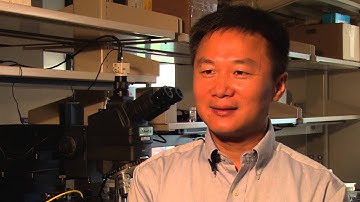 Junhong Chen on Water Quality Sensors