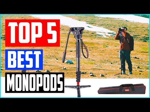 Top 5 Best Monopods in 2024 Reviews