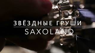 Звёздные Груши  - Saxoland