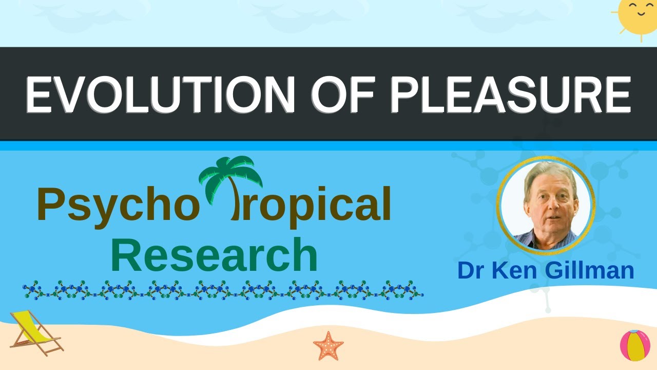 DISCOVER the evolution of pleasure