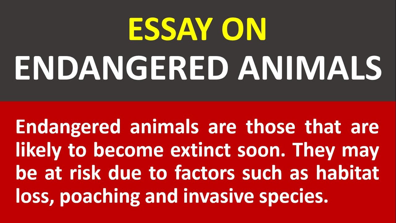 endangered animals essay writing