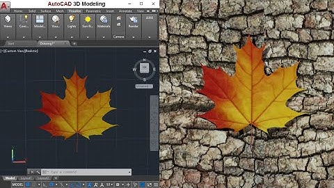 AutoCAD 3D Modeling | Autumn "Maple Leaf"