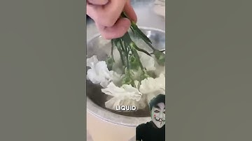 This is how science help us to freeze the flowers #youtubeshortvideo #youtubeshorts #shorts #science