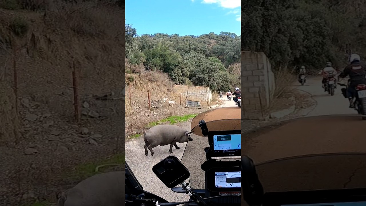 SIERRA BERMEJA, [La ruta más bonita]✌️