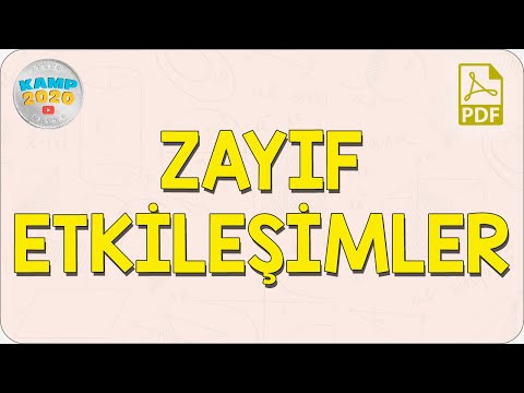 Zayıf Etkileşimler | Kamp2020
