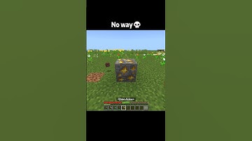 Minecraft Logic moment
