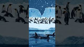 penguin in danger #viral #whale #ai