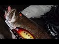 おじさんのアカメ釣り
