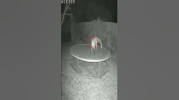 CCTV Caught a Real Ghost 😱 | Scary Night Footage