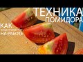 Техника помидора И как ей пользоваться