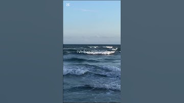 من سورة غافر - الشيخ مشاري راشد العفاسي 🤍🌷#قرآن
