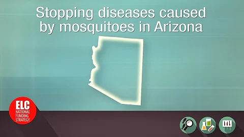 Stopping diseases caused by mosquitoes in Arizona - DayDayNews