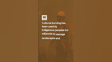 Can we fight wildfires with fire?