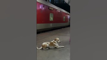 My first ai video edit #like #subscribe #ai #aivideo #shortsfeed #shorts #youtubeshorts #youtube