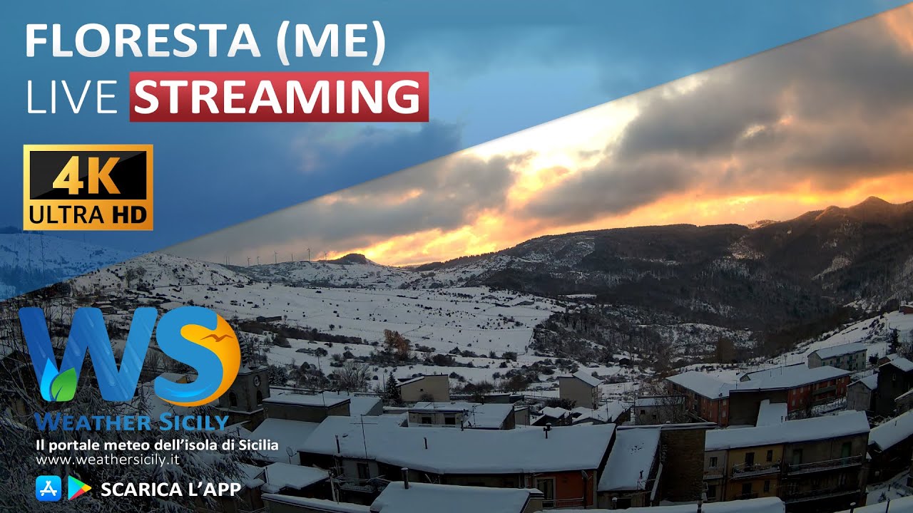 🔴 Floresta live webcam - Panoramica est 4K