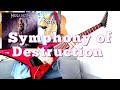 Megadeth - Symphony of Destruction Full Guitar Cover