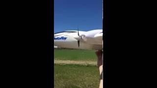 Delta Ray flying