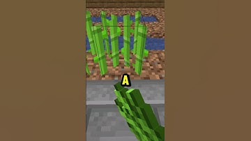 How to get started on the hardest minecraft server