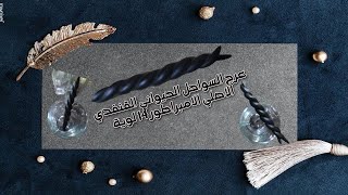 عرج السواحل الحيواني القنفدي الاصلي الامبراطور 14 لوية