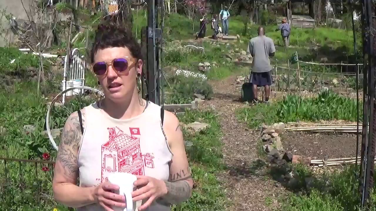 Touring The Baltimore Free Farm Youtube