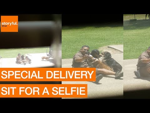 Cheerful UPS Deliveryman Poses For Selfie With Household Dogs (Storyful, Dogs)