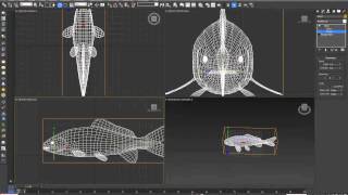 3dsmax fish animation 魚動畫(一)(魚擺動動作)