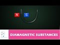 DIAMAGNETIC SUBSTANCES Mp3 Song