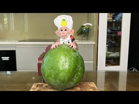 Harvest papaya! Bibi monkey cooks giant papaya soup!