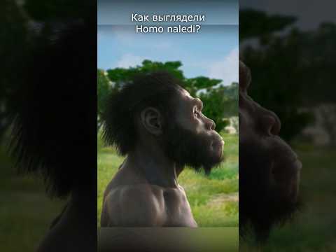 Видео: Необычные древние люди Homo naledi #эволюция #антропология